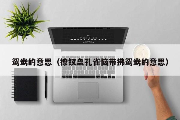 鸳鸯的意思（撩钗盘孔雀恼带拂鸳鸯的意思）