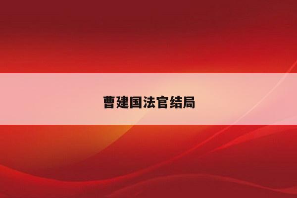 曹建国法官结局