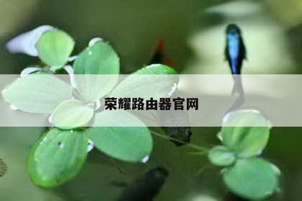 荣耀路由器官网