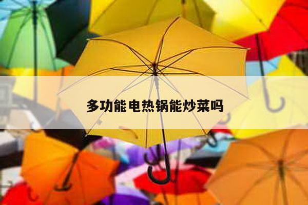 多功能电热锅能炒菜吗