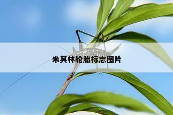米其林轮胎标志图片