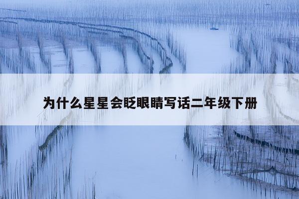 为什么星星会眨眼睛写话二年级下册
