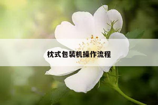 枕式包装机操作流程