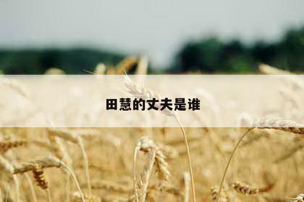 田慧的丈夫是谁