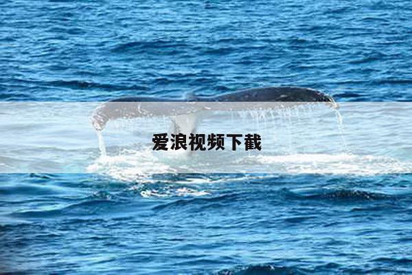 爱浪视频下截