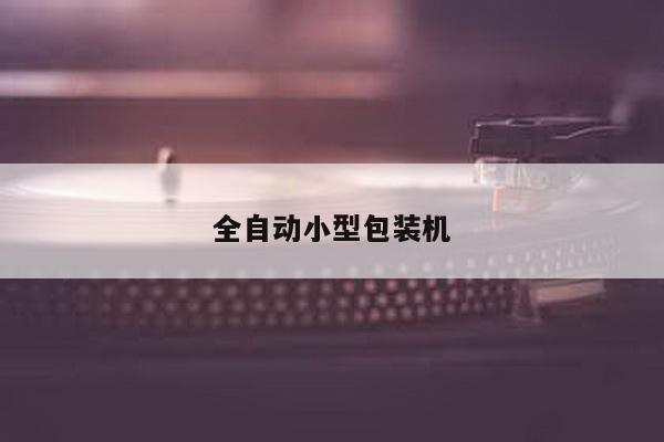 全自动小型包装机