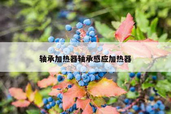 轴承加热器轴承感应加热器