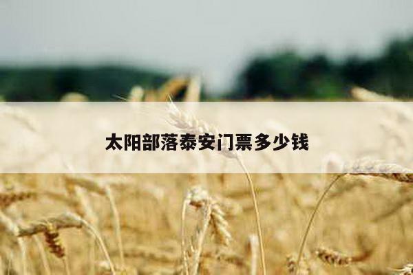 太阳部落泰安门票多少钱
