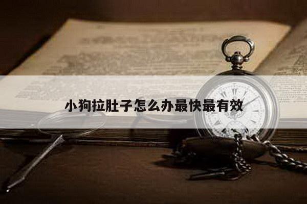 小狗拉肚子怎么办最快最有效