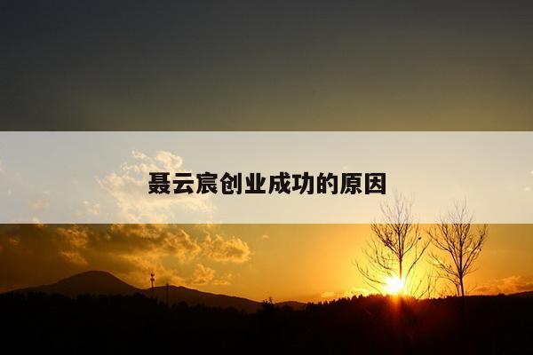 聂云宸创业成功的原因