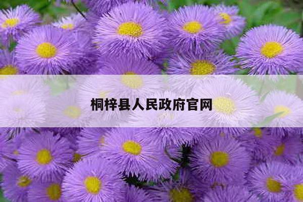 桐梓县人民政府官网