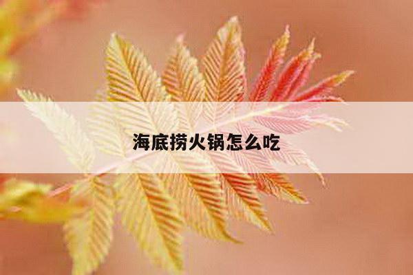 海底捞火锅怎么吃