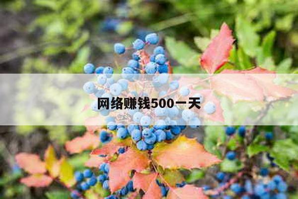 网络赚钱500一天