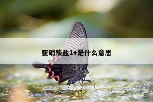 亚硝酸盐1+是什么意思