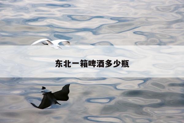 东北一箱啤酒多少瓶
