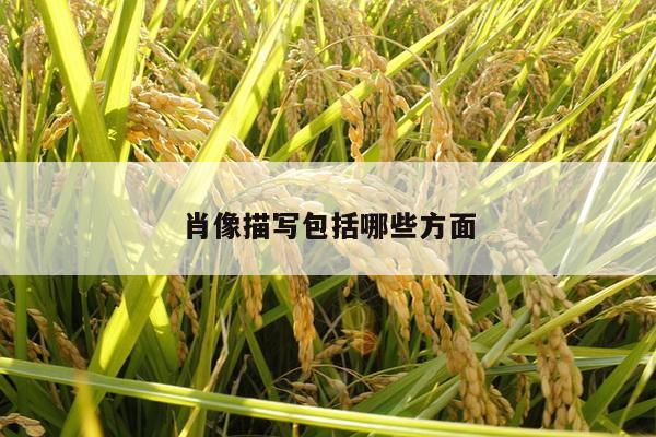 肖像描写包括哪些方面