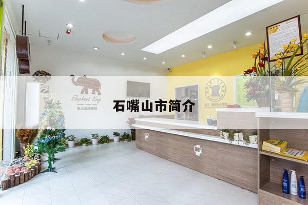 石嘴山市简介