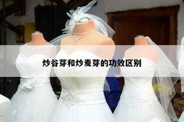 炒谷芽和炒麦芽的功效区别