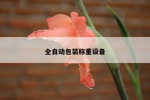 全自动包装称重设备