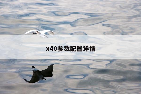 x40参数配置详情
