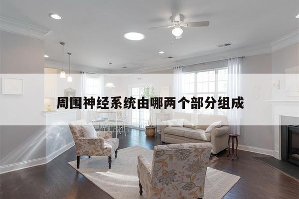 周围神经系统由哪两个部分组成