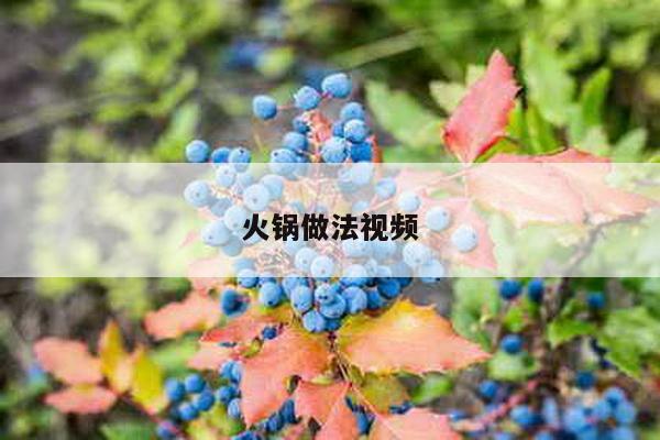 火锅做法视频
