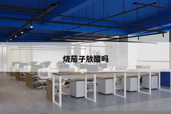 烧茄子放醋吗