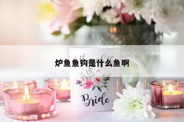 炉鱼鱼钩是什么鱼啊