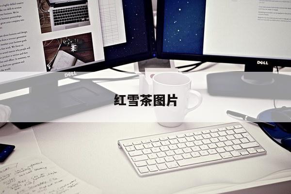 红雪茶图片