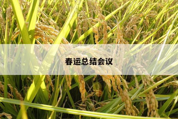 春运总结会议