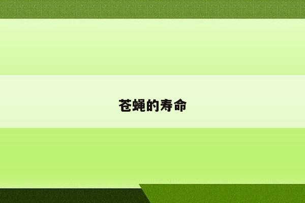 苍蝇的寿命