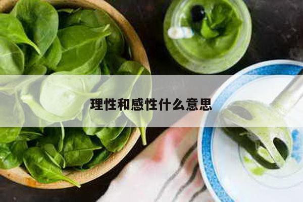 理性和感性什么意思