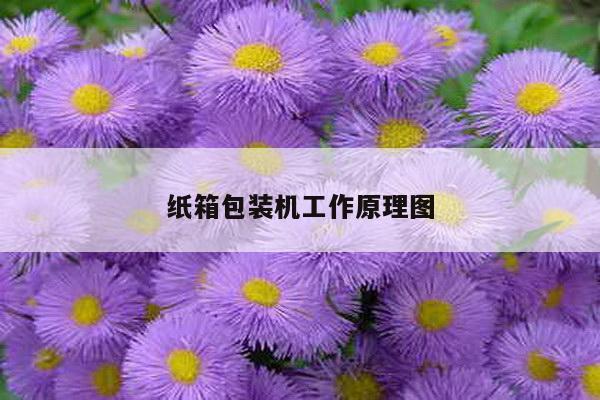 纸箱包装机工作原理图
