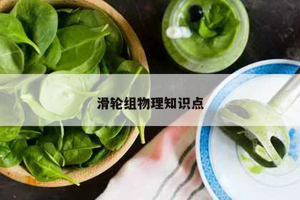 滑轮组物理知识点