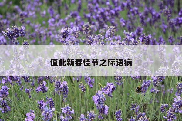 值此新春佳节之际语病
