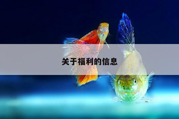 关于福利的信息
