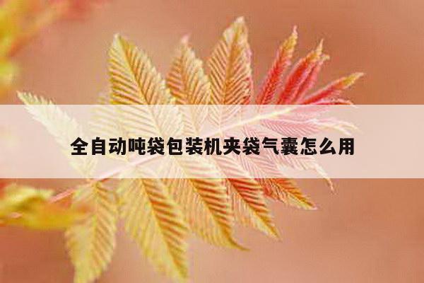 全自动吨袋包装机夹袋气囊怎么用