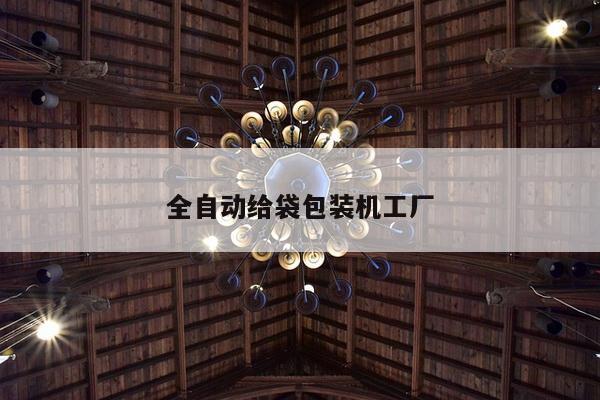 全自动给袋包装机工厂