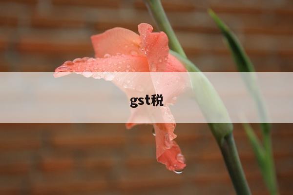 gst税