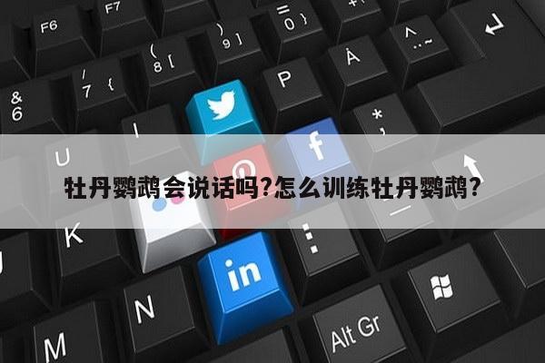牡丹鹦鹉会说话吗?怎么训练牡丹鹦鹉?