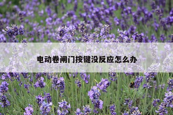 电动卷闸门按键没反应怎么办