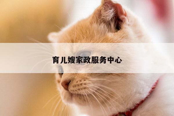育儿嫂家政服务中心