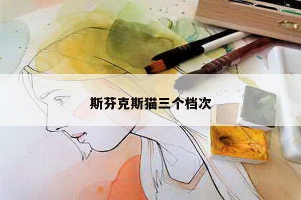斯芬克斯猫三个档次