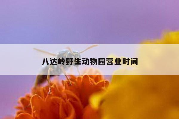 八达岭野生动物园营业时间