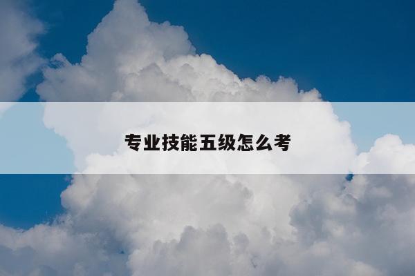 专业技能五级怎么考