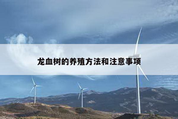 龙血树的养殖方法和注意事项