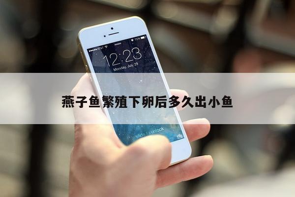 燕子鱼繁殖下卵后多久出小鱼