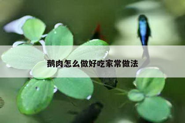 鹅肉怎么做好吃家常做法