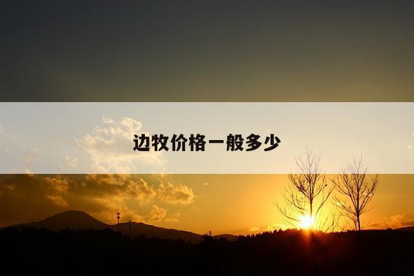 边牧价格一般多少