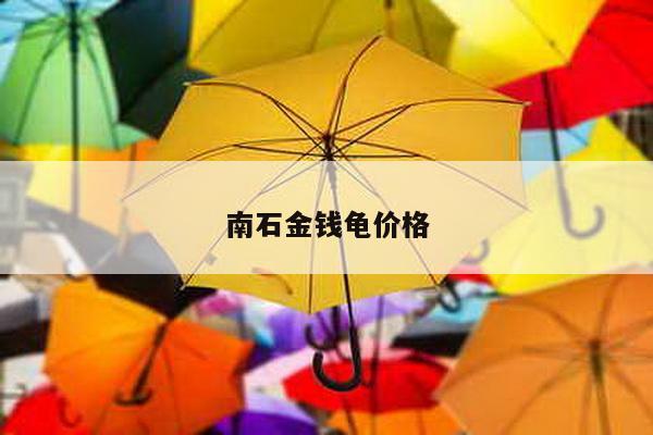 南石金钱龟价格